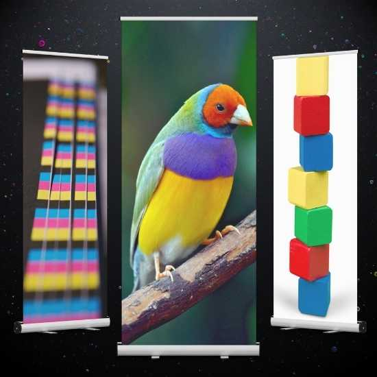 5️⃣ Roll-Up & Pop-Up Stands